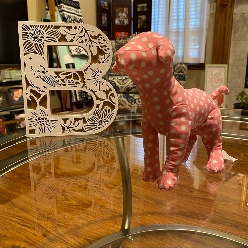 VS Pink mini dog